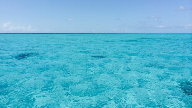 Bahamas - Sensations du monde