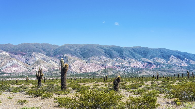Parc National de los cardones - Sensations du monde