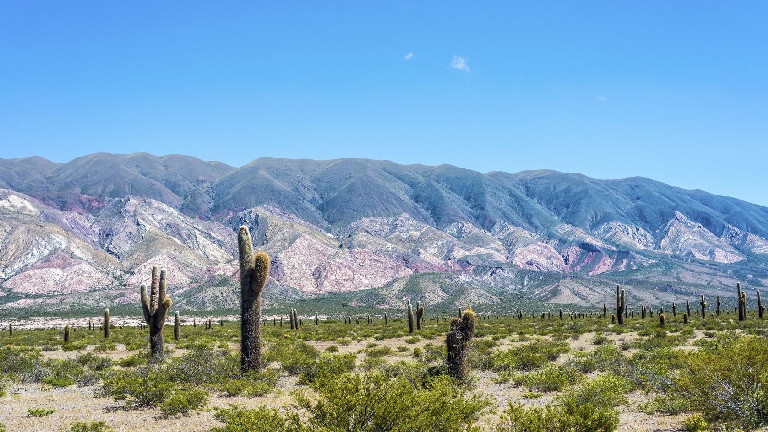 Jour 8 : Salta/Cafayate