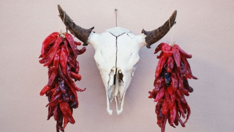 Albuquerque New Mexico