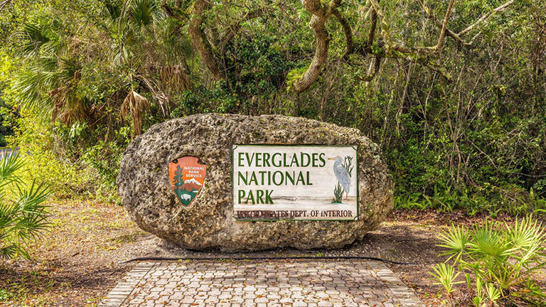 Decouverte De La Floride