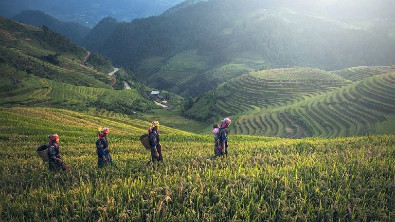Jour 10: Munduk/Ubud