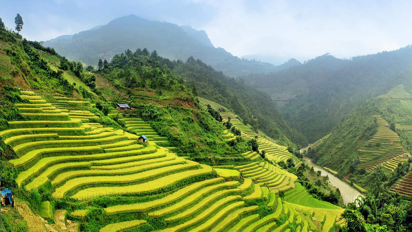 Jour 2 : Ubud / Jatiluwih / Bedugul / Atelier Chocolat / Ubud