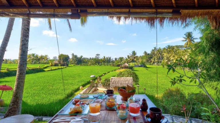 Mathis Retreat-Restaurant en terre cuite