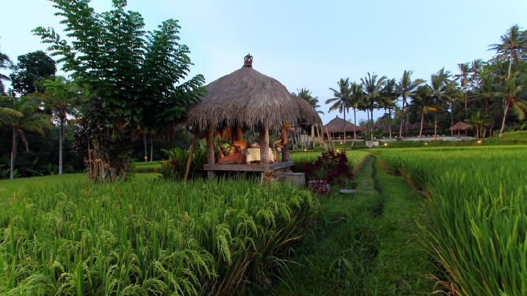 Mathis Retreat- Jardin