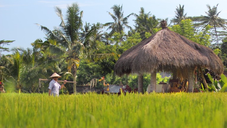 Mathis Retreat- Environnement