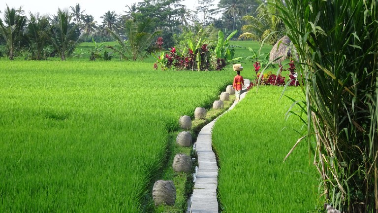 Mathis Retreat- Environnement