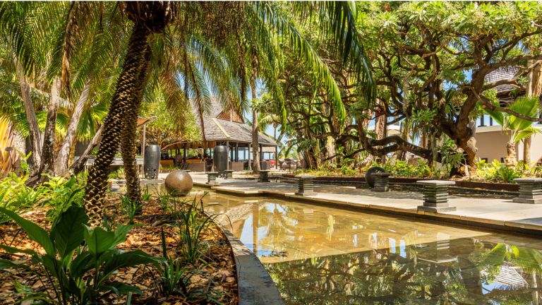 Palm Hotel & Spa - Jardin