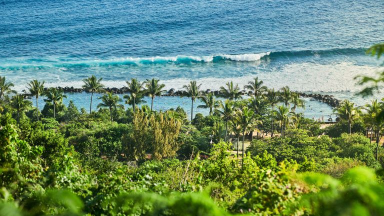 Palm hotel & Spa - Piscine naturelle