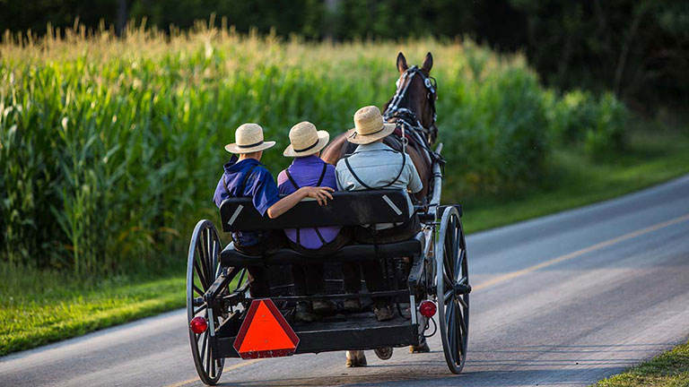 Jour 4 : Philadelphie / Lancaster / Washington (330km - 3h50 de route) 