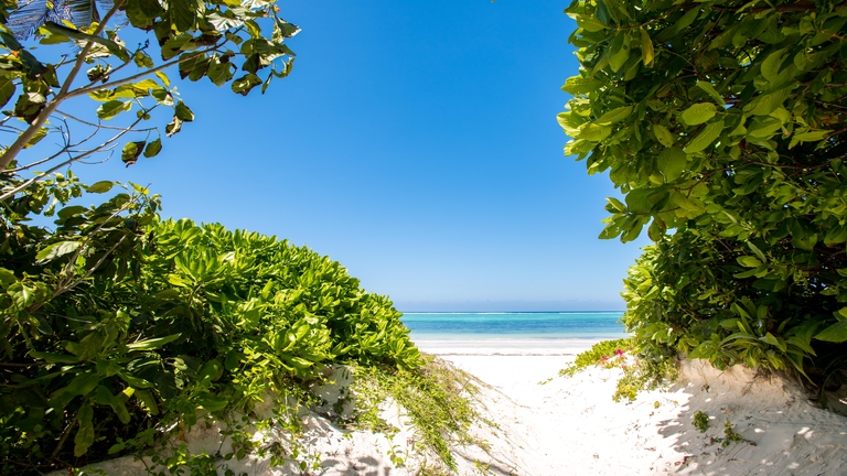 Htel Queen Zanzibar, Plage