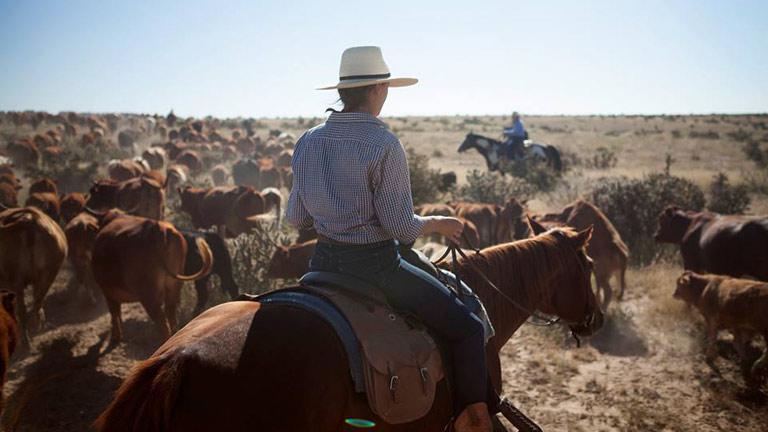 Western Aventure au Colorado !