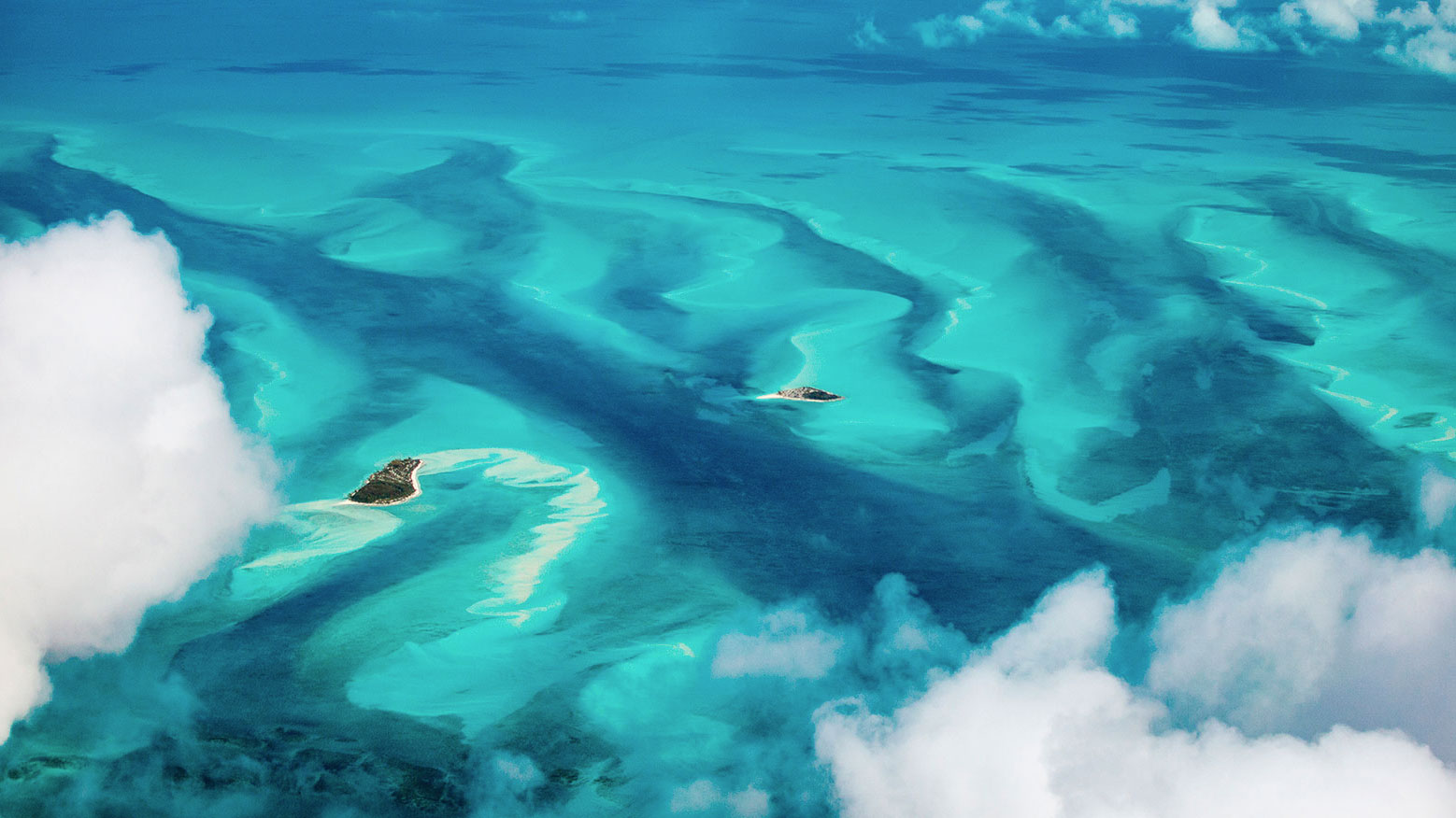 Jours 4 & 5 : Grand Bahama