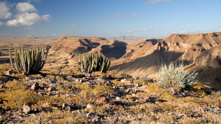 Jour 7 : Swakopmund / Twyfelfontein 