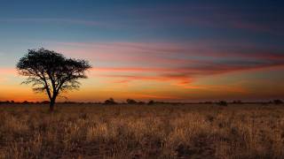 Jour 13 : Divundu / Parc national de Nkasa Rupara