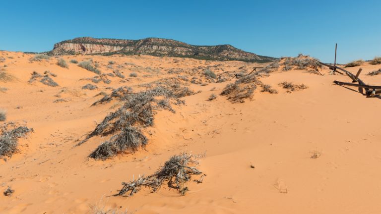 Coral Pink Sand Dunes - UTAH