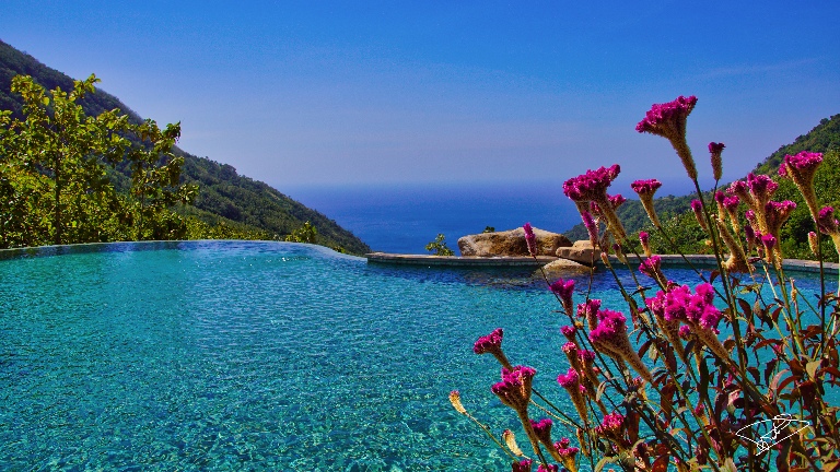 Mathis Lodge - Piscine principale