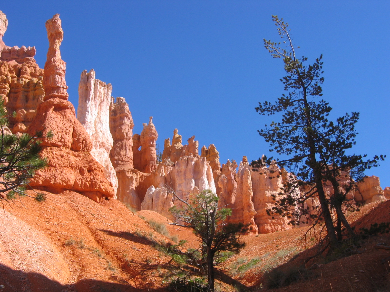 Jour 7 : Lake Powell / Bryce Canyon - 241 Km - 2h35 de route