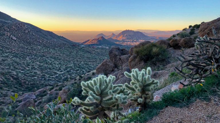 Jour 1 : Paris / Phoenix 