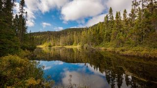 Jour 9 : Parc de la Gaspsie