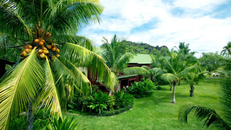 Paradise Sun - Jardins