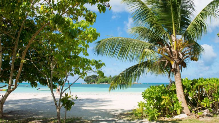 C�te D'Or Chalets - Plage C�te d'Or