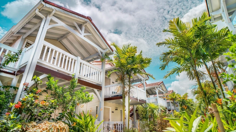 Culture Crole - Alle