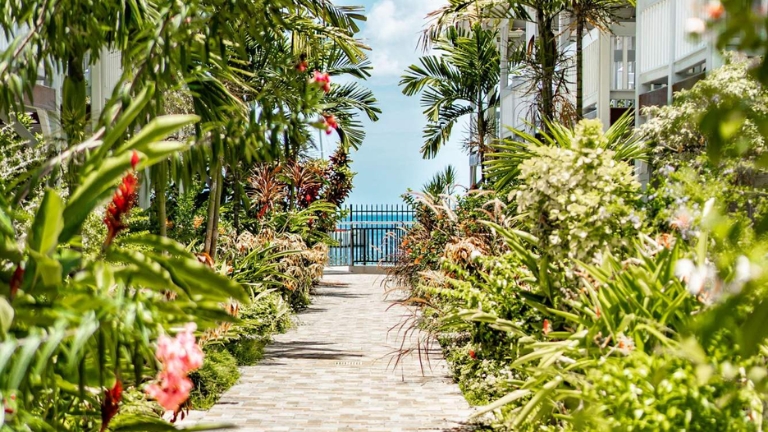 Culture Crole - Alle 