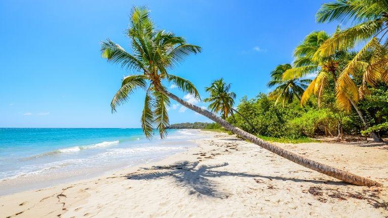 Forfait 9 jours /7 nuits Martinique - Tout compris - 9 jours / 7 nuits