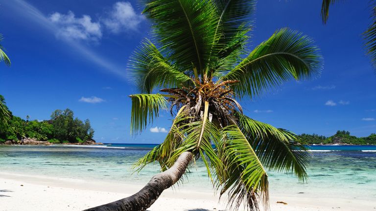 Jour 10 : Praslin / Mah�