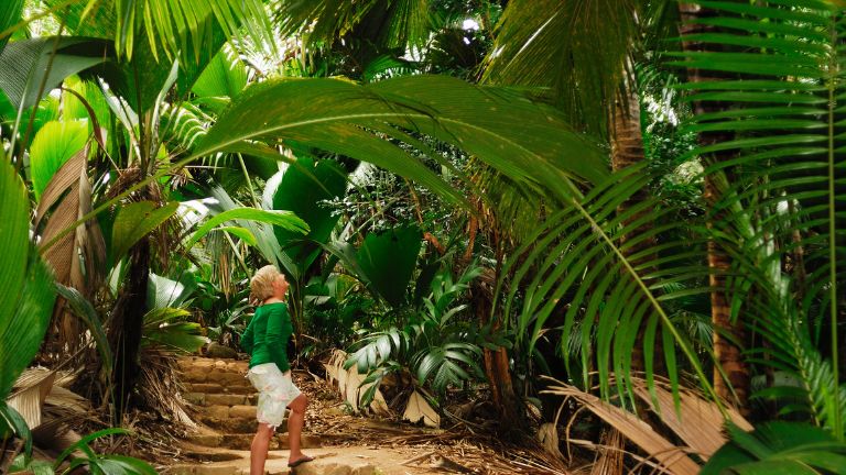 Jour 7 � 10 : Praslin