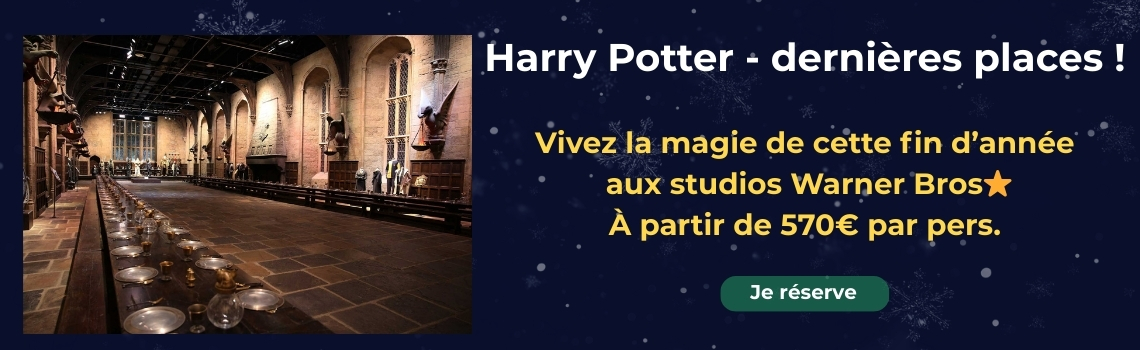 Harry Potter fin d'anne 2025