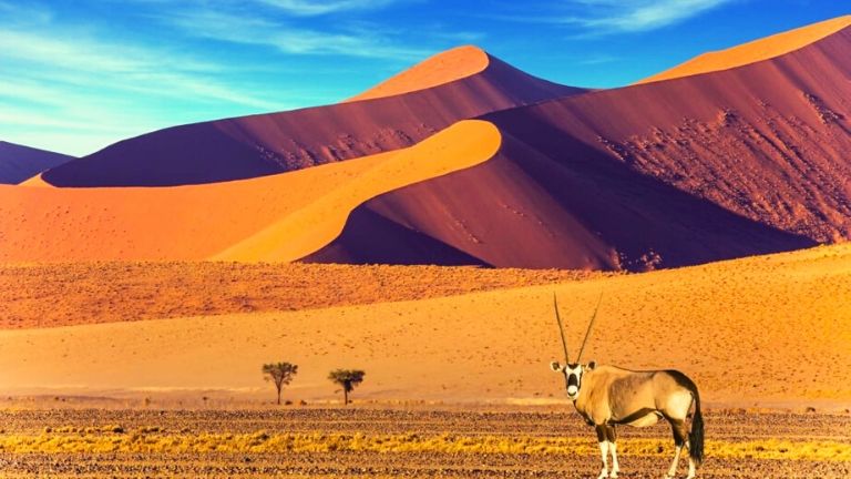 Voyage en Namibie tout compris