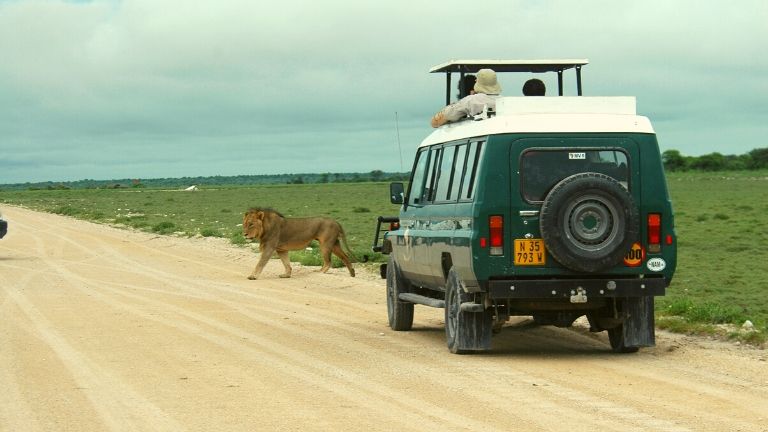 Namibie parc national d'Etosha Game Drive