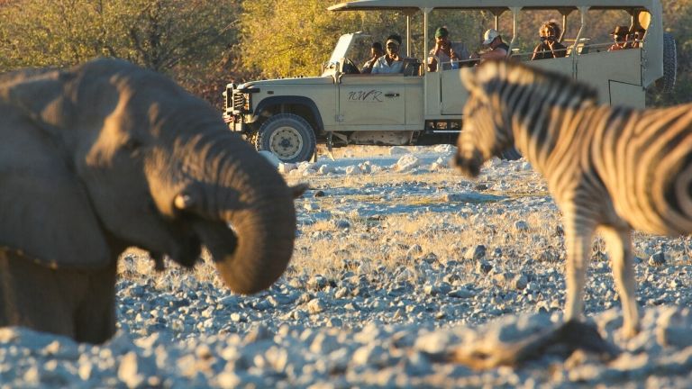 Namibie parc d'Etosha Game Drive lephant zebre