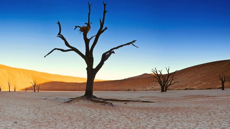 Naukluft national parc desert du namib paysage desertique