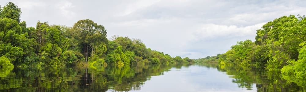 Lih Manaus et l'Amazonie - Sensations du Monde
