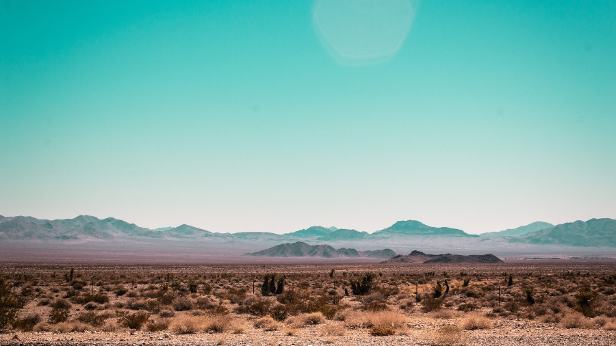 Mojave Desert